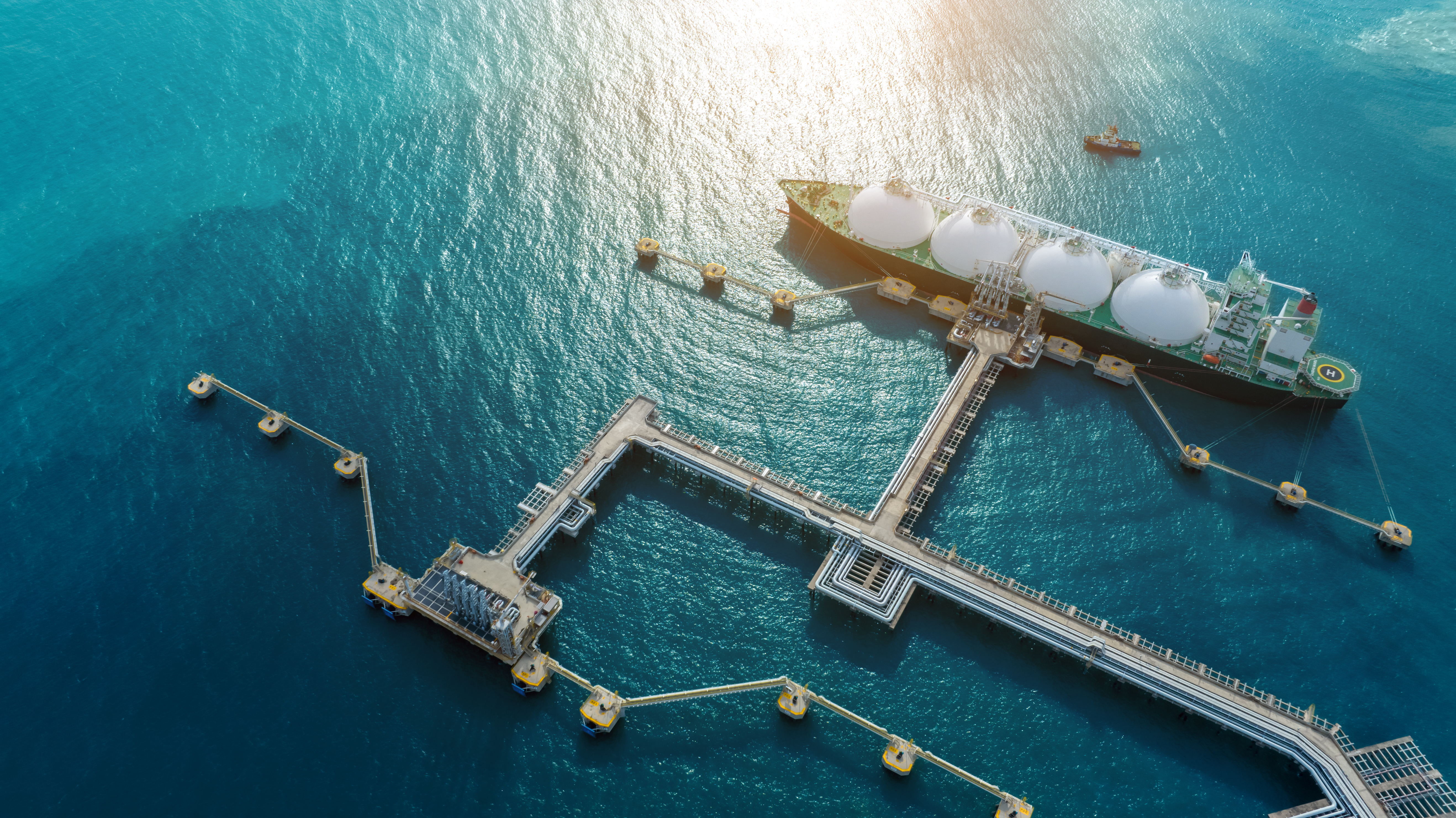 [Press Release] LNG tankers become stranded assets as demand collapses, say environmental groups